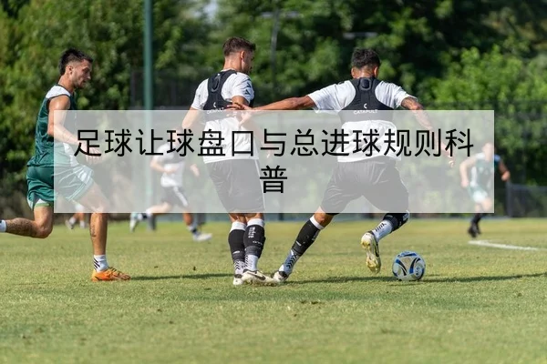 足球让球盘口与总进球规则科普