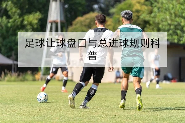 足球让球盘口与总进球规则科普