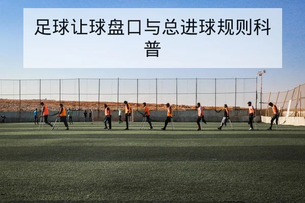 足球让球盘口与总进球规则科普