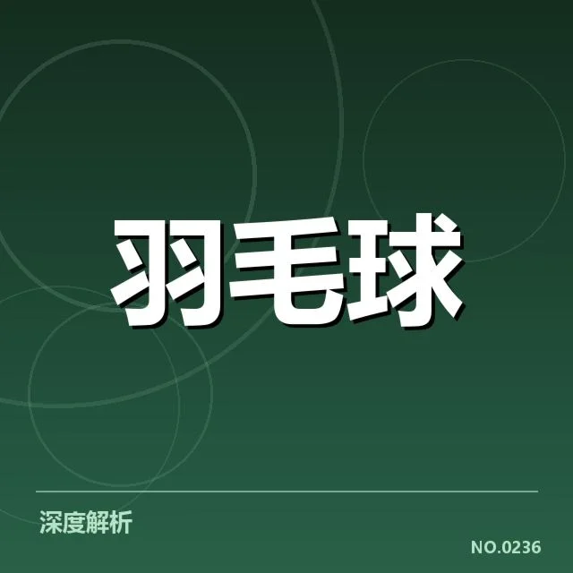 中国队已确认的队员与参赛安排